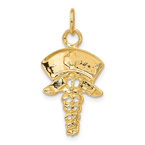 14k Nurse Symbol Charm