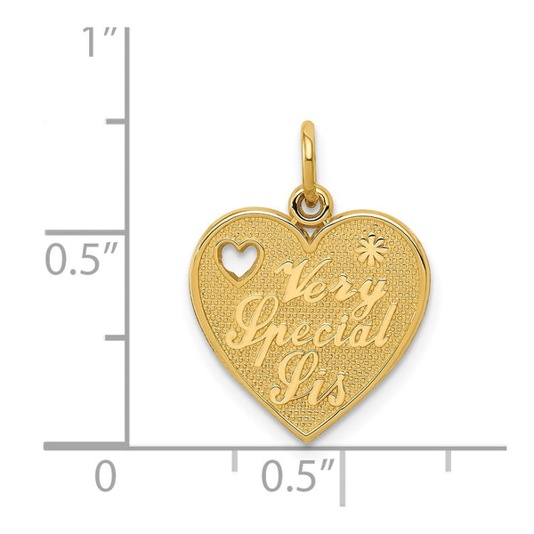 14k Very Special Sister Charm