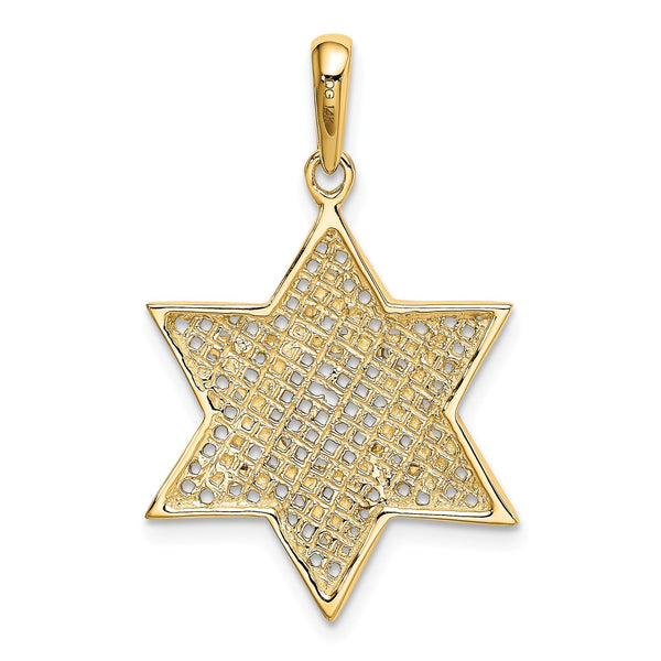 14KT Gold Meshed Star of David Pendant. Chain Not Included