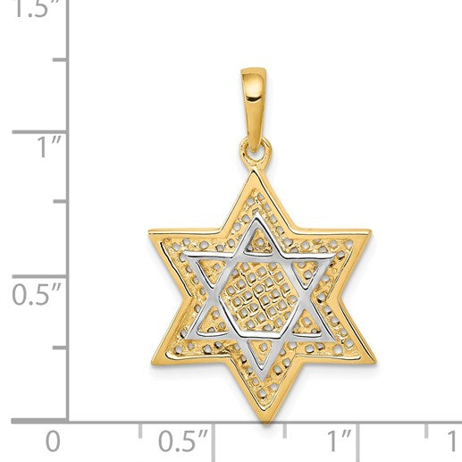 14KT Gold Meshed Star of David Pendant. Chain Not Included