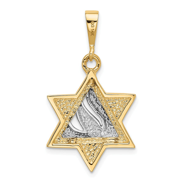 14KT White and Yellow Gold 30X18MM Star Of David Pendant. Chain Not Included