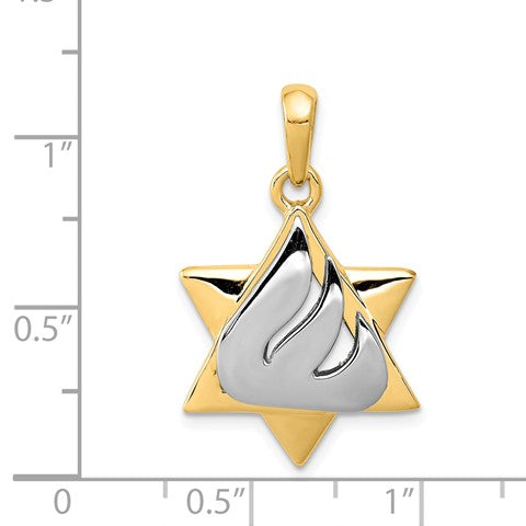 14KT White and Yellow Gold 30X18MM Star Of David Pendant. Chain Not Included