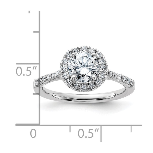 6.5MM Round Moissanite Halo Engagement Ring in 14KT White Gold; Size 7