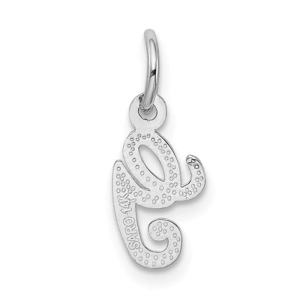 14KT White Gold 16X7MM Initial Pendant; Initial G. Chain not Included