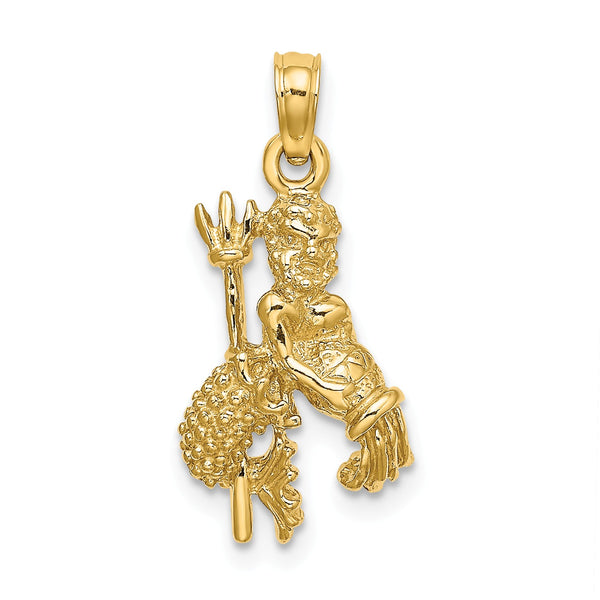 14k 3-D Aquarius Zodiac Charm