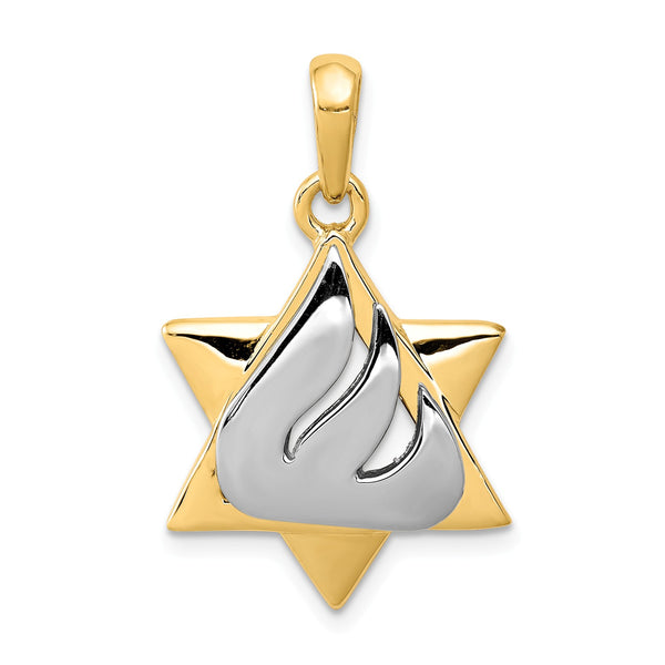 14KT White and Yellow Gold 30X18MM Star Of David Pendant-Chain Not Included